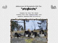 rumptrolls.se Champions, Foto, Hundarna rumptrolls.se Champions, Foto, Hundarna