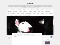 liten saemi.se skärmbild liten saemi.se skärmbild