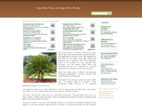 sagopalmtree - Sago Palm Trees and Sago Palms Photos sagopalmtree - Sago Palm Trees and Sago Palms Photos