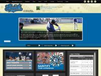 saintsbaseball.com