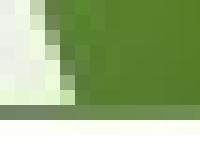 S A Johnson Tree Surgery