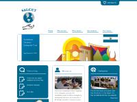 salcet.co.uk
