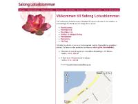  Rakpermanenter, Extensions, Bal & Bröllop, Vax & ben