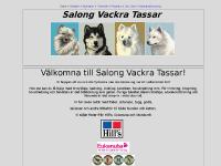 Salong Vackra Tassar Salong Vackra Tassar