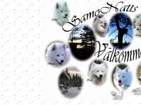 statistik för samonatts statistik för samonatts