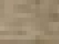 samsmith.net bodybuilding, weights, championship