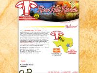 santagertrudiscattle.com Texas Cattle Women, CattleMax santagertrudiscattle.com Texas Cattle Women, CattleMax