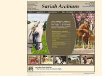 Sariah Arabians Stud and Livery - Located in the Surrey Hills Sariah Arabians Stud and Livery - Located in the Surrey Hills