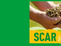 scar.be - scar scar.be - scar