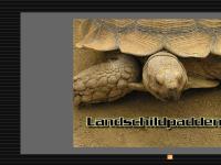 Schildpadden net :: WELKOM