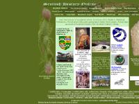 scotshistoryonline.co.uk Pictish, medeival, Scottish History scotshistoryonline.co.uk Pictish, medeival, Scottish History