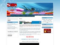 scubashopsc.com Store Tour, Classes, Discover Scuba Class