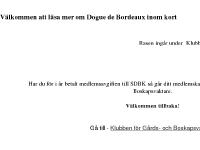 SDBK SDBK