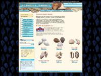 Seashells Store, Craft Sea Shells For Decorations and Cheap Wedding Seashells