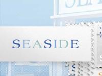 liten seasidefl.com skärmbild