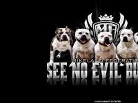 See No Evil Bullys "Mikeland Federation"
