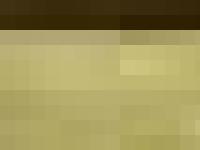  oea, doutor em relacoes internacionais, diplomacia brasileira, relacao basil-haiti