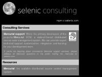 liten selenic.com skärmbild