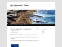 liten selfdeterminationtheory.se skärmbild liten selfdeterminationtheory.se skärmbild