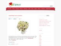 sendflowersdelivery.net sendflowersdelivery.net