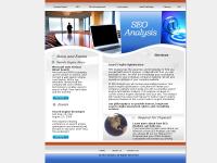 SEO Analysis - Search Engine Optimization, Web Log Analysis, eMail Marketing and Site Design