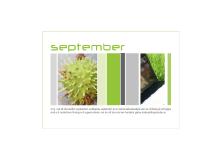 S E P T E M B E R S E P T E M B E R