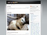 mcts, New boots for the winter, Allmänt, boots mcts, New boots for the winter, Allmänt, boots