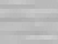 Hästtransport återförsäljare, transport av häst säljes, hyr hästtransport | Severinstransporter Hästtransport återförsäljare, transport av häst säljes, hyr hästtransport | Severinstransporter