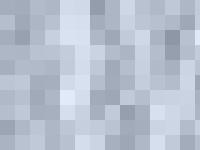 Shakima's Kennel Shakima's Kennel