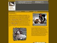 unit 13D, unit 14C, 14C hunts, unit 13D unit 13D, unit 14C, 14C hunts, unit 13D