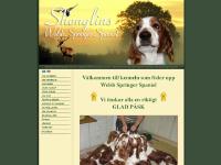 liten shenglins.se skärmbild