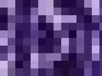 showoffdesigns - Show Off Designs ~ A total winning look for you and your horse