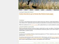  tiedostot, palaute, yhteystiedot, kirjautuminen