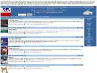 Siamese cats, Siamesecats, www.Siamesecatsforsale.com, Siamesecat Siamese cats, Siamesecats, www.Siamesecatsforsale.com, Siamesecat