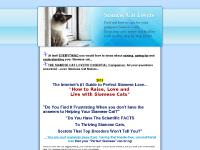 Siamese Cats Today