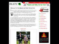 silkyterrier-canada.org Australian Silky Terrier silkyterrier-canada.org Australian Silky Terrier