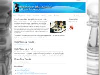 Chess is smart fun for schools & kids - Silver Knights Chess