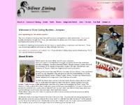 silverlininghuntersjumpers.com silverlininghuntersjumpers.com