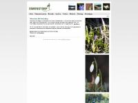 SIMONSTORP SIMONSTORP