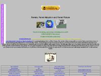 Directions & Stuff for Sale, Ferret Stories, Monkeypox & Ferrets, Black Footed Ferret Directions & Stuff for Sale, Ferret Stories, Monkeypox & Ferrets, Black Footed Ferret