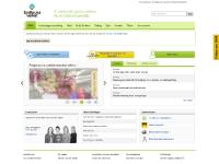  Kakor (cookies) på webbplatsen