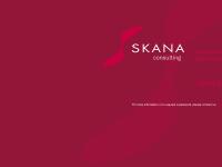 Skana Consulting | Tailored, Smart & Effective Digital Media Solutions