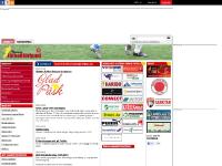 liten skaneboll.se skärmbild liten skaneboll.se skärmbild