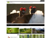 SKÅNSKA NATURMEDIA SKÅNSKA NATURMEDIA