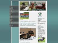 liten skaraborgstk.se skärmbild liten skaraborgstk.se skärmbild