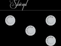 statistik för skaryd statistik för skaryd