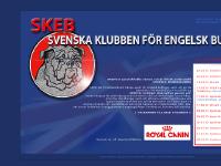 || SVENSKA KLUBBEN FÖR ENGELSK BULLDOGG ||