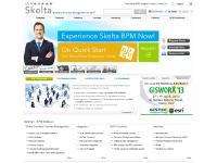 Business Process Management (BPM) Software, Embeddable Workflow Engine, Advanced Workflow Management Software, .NET workflow - Skelta BPM