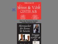 liten skinnochvaskcenter.se skärmbild liten skinnochvaskcenter.se skärmbild