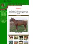 Skipper W Breeders Skipper W Breeders